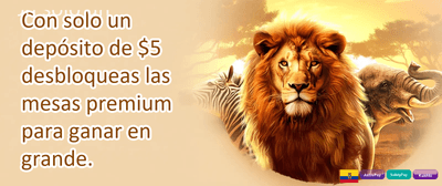 Recarga Diaria Impulso promotion